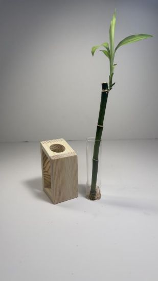 صورة بوكس البامبو